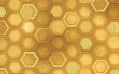 Why I was FORCED to increase honey prices!